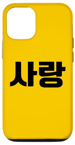 Love in Korean Salang Korean Text K-Pop Style �X�}�z�P�[�X iPhone 12/12 Pro �p