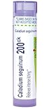 Boiron Caladium Seguinum 200Ck for Intense Itching - 80 Pellets