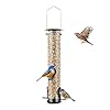 Backyard Expressions Tall Tube Bird Feeder Durable Hanging Wild Bird Feeder for Wild Birds 16 Tall 4 Port Design