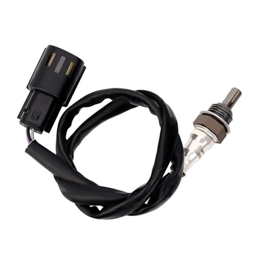 Solution vibrations Pro Street Breakout et Softail FLSTC