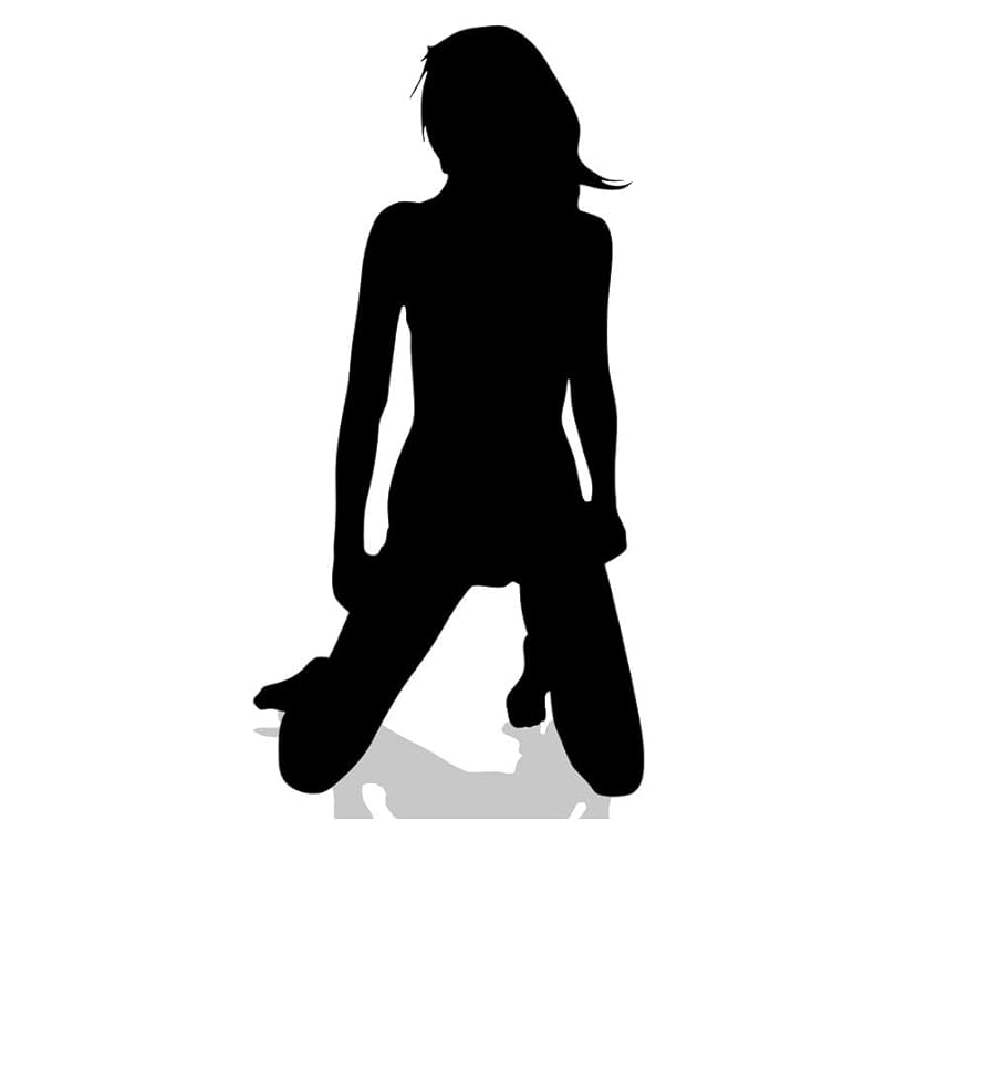 Amazon.co.jp: セクシー女性 シルエット 車 ステッカー バイク