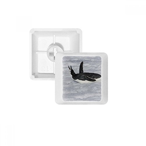 Keycaps PBT oem sans marquage : touches multicolores R3 l'eau noir antarctique