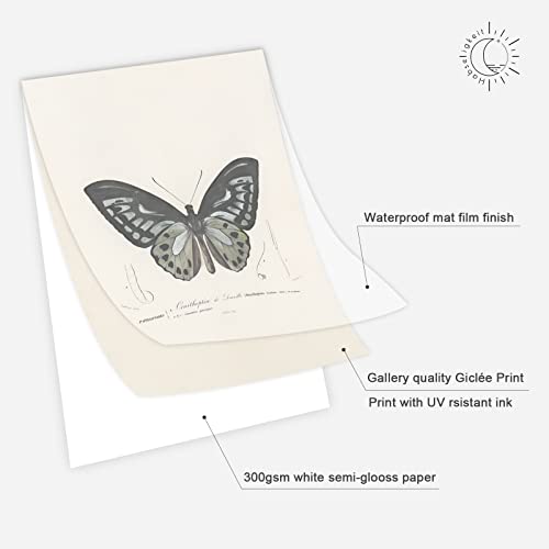 Image of Habseligkeit Butterfly Master Wall Art Prints, Abstract Matisse Wall Art Exhibition Posters, Vintage Wall Art Prints, Retro Room Decor for Aesthetic Bedroom 11x14inch, Unframed