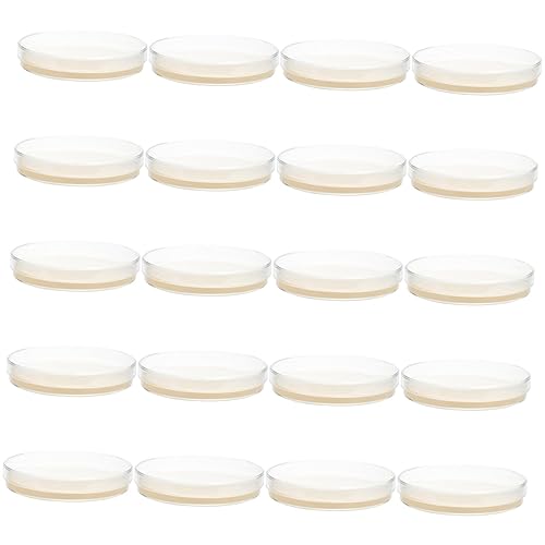 FELTECHELECTR Prepoured Agar Petri Dishes 20 Pcs Nutrient Agar Plate Petri Dishes with Agar Experiment for Laboratory for Experiment Prepoured Agar Petri Plates Accessories Ordinary 7c