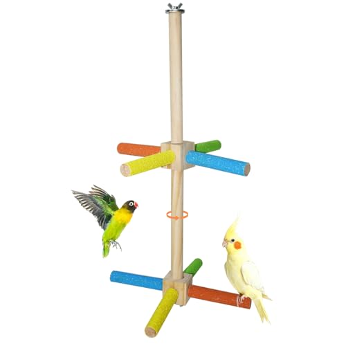 Image of Bird Stand Perch Toy, Double Layer Spinning Parakeet Toys Exercise Wheel Cockatiel Toy for Cages Wooden Perchs for Small & Medium Birds Cage Accessories for Parakeets Lovebirds Conures (Colorful)