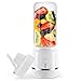 ZOYLINK Podróżny przenośny blender ręczny ładowany przez USB mini profesjonalny plastikowy blender sokowy do domu