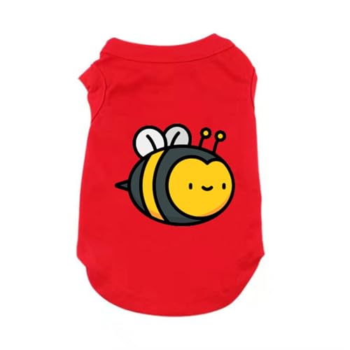 [XANPYO] ybg ̕ p ^ ^ ~co`C tėp lGʗp _炩 ^ ʋC Lk y ybg Ȑ іh~ ?Oh t   ƒ U M o Eѕی ʐ^Be