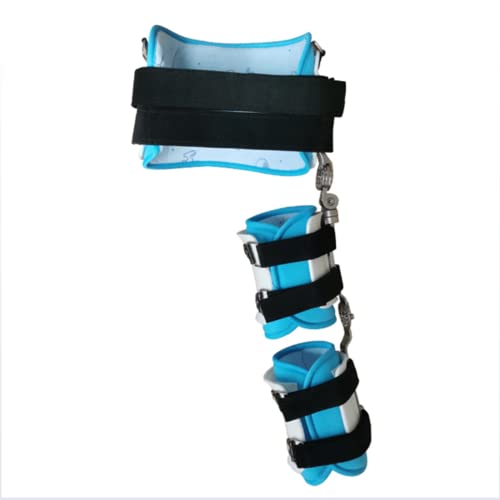 SFKLYU q̌Ҋ֐ߊO]q̌Ҋ֐ߒEPCҊ֐߉̂߂̃qWtҊ֐ߊO],C,S