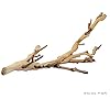 Exo Terra Forest Branch Small Natural Wood Terrarium Decoration for Reptiles, Amphibians & Small Pets