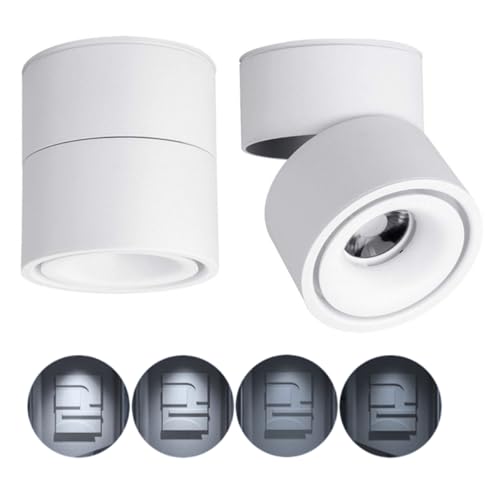 Image of Dimmable Ceiling Spotlight,Indoor 360Adjustable Surface Mounted LED 10W COB Ceiling Downlight-Wall Lamp for Picture Background Wall Display Lighting(Cold Light 6000K,White)