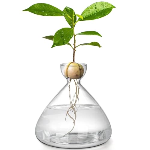 ԕr A{JhV[hX^[^[ԕr qX^[^[v^[|bg A{Jhc[͔|Lbg KX ɐBt[|bg k͔|Aؔ AD ()