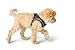 HUNTER Hundegeschirr HILO COMFORT, Farbe: anthrazit, Easy Step-In Geschirr für kleine bis mittlere Hunde, mit Netzmaterial, reflektierende Elemente, angenehm leicht, modernes Design, Größe: M-L