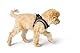 HUNTER Hundegeschirr HILO COMFORT, Farbe: anthrazit, Easy Step-In Geschirr für kleine bis mittlere Hunde, mit Netzmaterial, reflektierende Elemente, angenehm leicht, modernes Design Größe: S-M