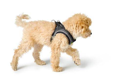 HUNTER Hundegeschirr HILO COMFORT, Farbe: anthrazit, Easy Step-In Geschirr für kleine bis mittlere Hunde, mit Netzmaterial, reflektierende Elemente, angenehm leicht, modernes Design Größe: M