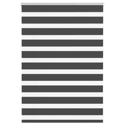 Thermal Roller Blind, Sun Protection Roller Blind, Double Roller Blind, Zebra Blind, Black, 110 x 100 cm, Fabric Width 105.9 cm, Polyester, Clamping Roller Blind for Windows and Doors, Widely Used