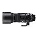 150-600mm F5/-6.3 DG DN per Sony E