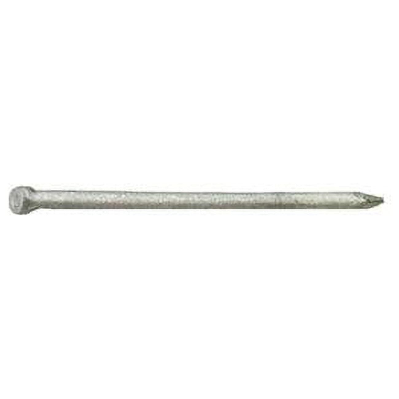 12D 3.75 in. 1 lbs Common Hot-Dipped Galvanized Steel Nail Flat - Pack of 12