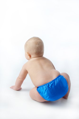 My Pool Pal Reusable Swim Diaper, Royal Blue, 2T - Thumbnail 3