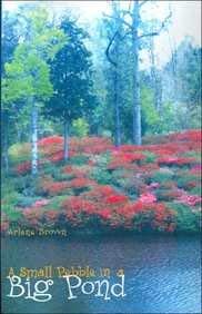 Paperback A Small Pebble in a Big Pond Book
