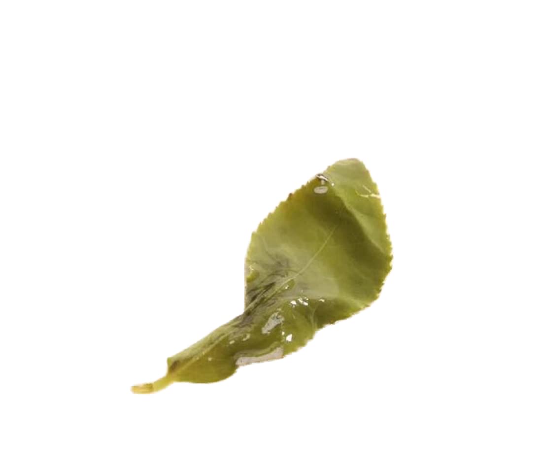 1kg Milk Oolong Tea Beauty Weight loss Lowering Blood Pressure High Mountains JinXuan Milk Oolong Tea