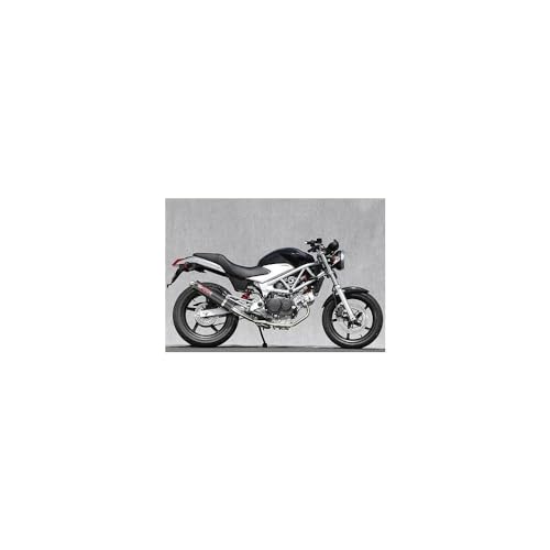 }g[VO(Yamamoto Racing) Xe2-1/J[{TCT[ JMCA VTR250 10260-61SCC