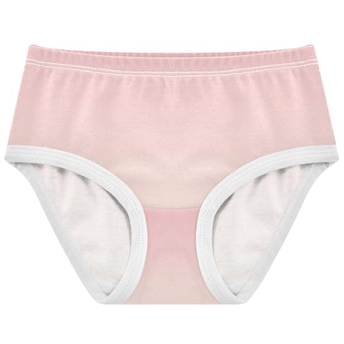 Joisal Toddler Girls Underwear 2t Cotton Panties for Girl Bright Underpants Briefs Ombre Light Pink Gradient
