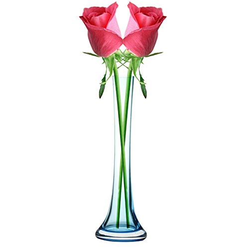 Bole-kk ԕr  KX ԕr ͔| ֑}xbh[ Ԋ t[x[X k  CeA 킢 (u[)