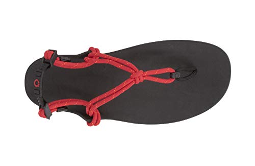 Image of Xero Shoes Women's Genesis Barefoot Sandals