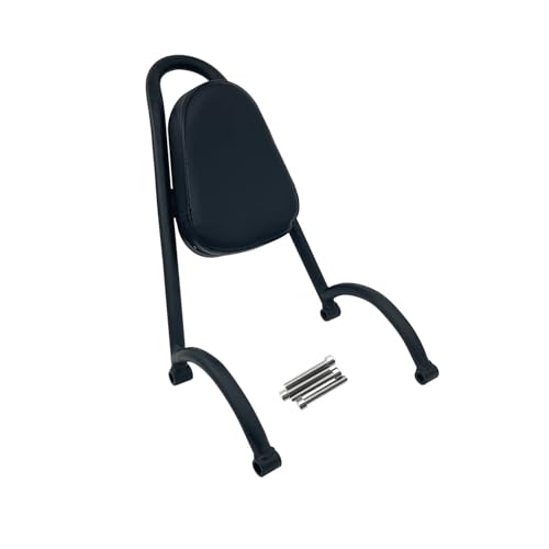 Dossier passager moto pour Rebel CMX500 CMX300 2017-2022 sissy bar noir avec coussin de confort arrière