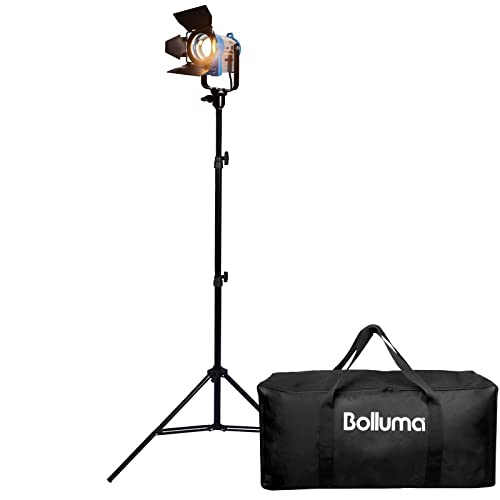 Photo Studio Fresnel Tungstène Spotlight 150W Vidéo Kit Mandarine Eclairage Continu Pro Projecteur, Support de Lumière, Sac Trépieds