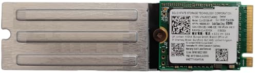 Solid State Storage Technology Corporation (Chip Kioxa) CL4 Internal SSD, 128GB PCIe Gen4 x4 NVMe, M.2 2230, Model CL4-3D128, adatto per Notebook, Portatile e PC Desktop - OEM Package