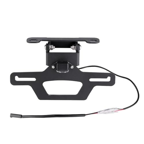 BTCTLPLMKK SUZUKI HAYABUSA GSX1300R 2008-2020 oCNpio[v[gz_[ CgtF_[G~l[^[ oCNp io[v[gXe[(Bracket w LED Light)