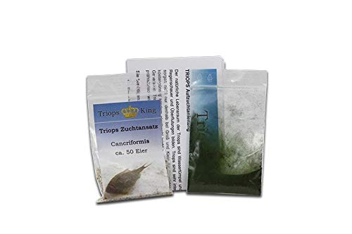 Triops Cancriformis Urzeitkrebse Starter Set mit ca. 150 Urzeitkrebs-Eiern/Zysten Deutschland, Anleitung zur Zucht und Jungtier-Futter - Züchte jetzt Deine eigenen Urzeitkrebse