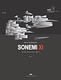  Sonemi: Catalogo Opere Uniche 2025.3 - Vol. XI