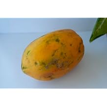 بابايا حمراء لذيذة طازجة من RawJoy Farms، 1 رطل