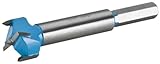 Roman Carbide DC1851 Carbide Forstner Bit, 15/16-Inch