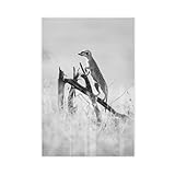 IYQTAGGH Erdmännchen-Poster, Leinwand-Poster, Wandkunst, 