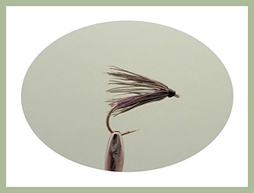 Lot de 12 Wet Bécassine mouches de pêche et violet. Tailles mixtes 10,12, 14, 16