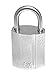 Abloy Protec2 PL 321 Padlock