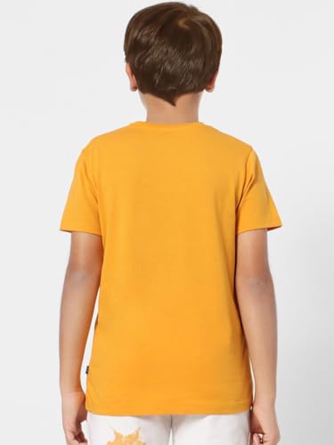 Image of Double F Branded Cotton Bio wash Round Neck Half Sleeve Solid T-Shirt for Boys and Baby