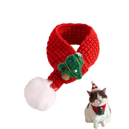 Yucahype NX}X ybg RX`[ RXv  Lp }t[ Xq  ߑ ybg ^ ^ ^ NX}X ʐ^Be (M O[)