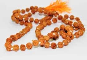 Gemstone King Premium Five Face Rudraksha Mala 108 Beads Original ...