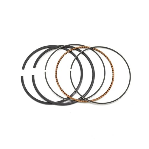 Segments de piston moto 74mm pour KLR250, idéal pour vos longs trajets