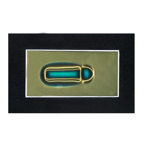 Image of 2 x 4 Inch Magnetic Field Viewing Film, Magnetic Field Viewer, Magnetic Flux Display, Magnet Pattern Detector, Scientific Project Teaching, Automatic and Reusable Recovery