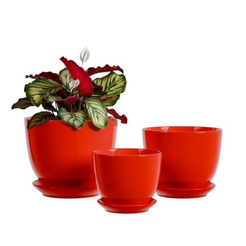 Ceramic Plant Pots - 4/5/6 Inch Red Planters Set of 3 with Drainage Holes and Saucer - Indoor Flower Pots for Plants Ceramic Planters for Indoor Gardening Succulent Pots(Red)