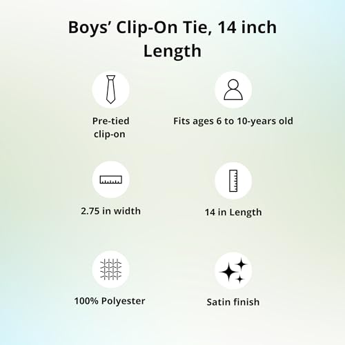 tiemart Boys' Sky Blue Anna Floral Stripe Clip-On Tie, 14" Length3