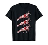 Artistic Fish Keeping Designs for Aquarists