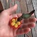 Aroma Trees 2 Mini Hand Held Hummingbird Feeders with Instructions and Kit