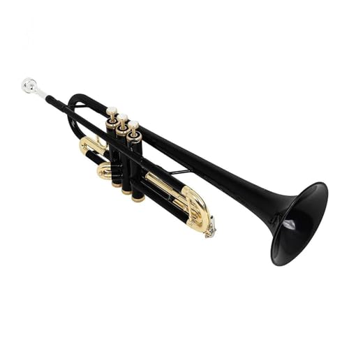 �W���g�����y�b�g �v���t�F�b�V���i���g�����y�b�g B �t���b�g�g�����y�b�g�Z�b�g���ǃ{�f�B�J���t���ȃS�[���h�L�[���b�h�u���[�u���b�N(Color:Black)