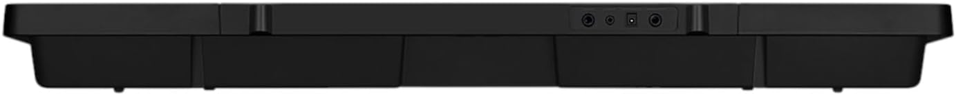 E pasme view of the Casio CTK-2550 keyboard showing input/output ports.